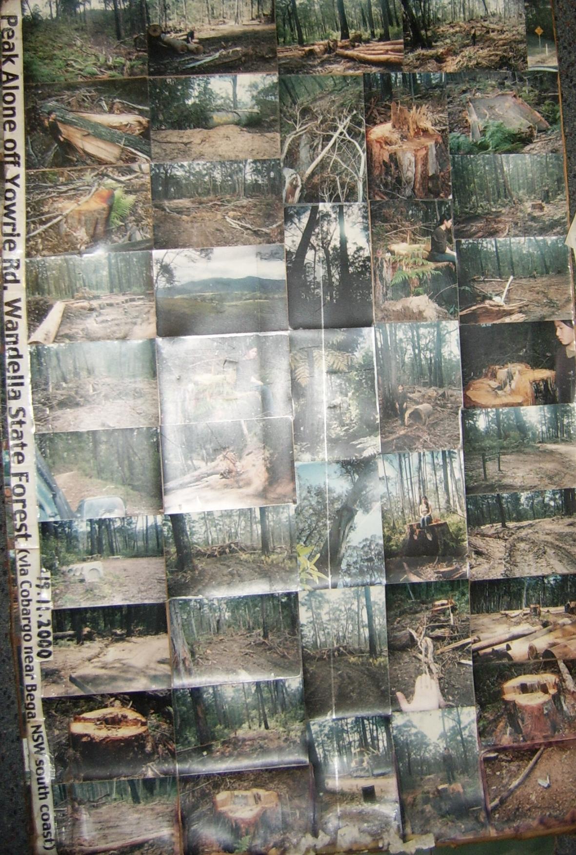 peakalonewandellaviacobargo19nov2000.jpg